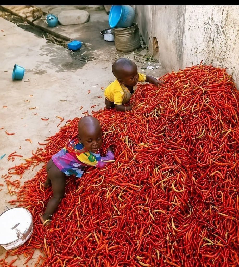 chimdindu25's tweet photo. Only if this children knows the kind pain the will pass through for the rest of the day 😂😂😂 https://t.co/ezz4bf83Jp