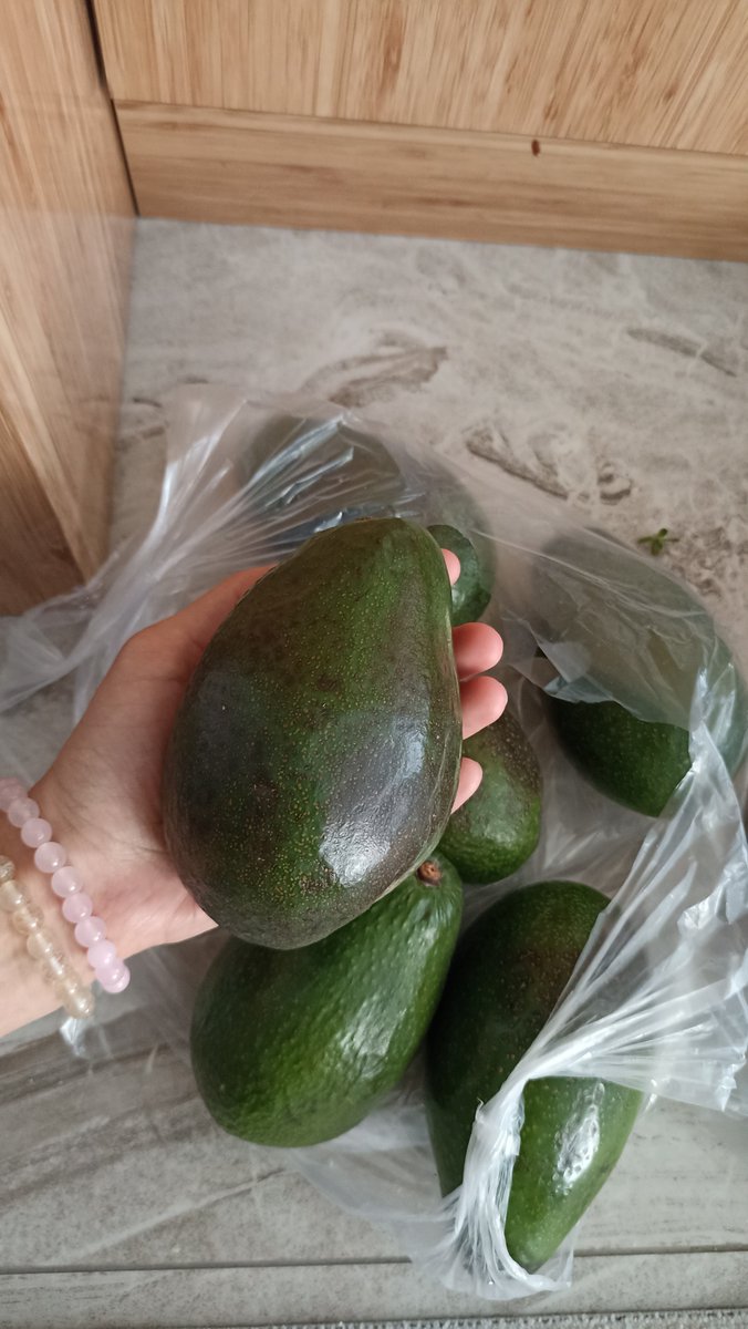 bilemenzi's tweet photo. Pazardan 3ü 100 tlye aldığım avokadonun boyutu...
(Dolandırıcı hissediyor) https://t.co/W1qOdKdbDG