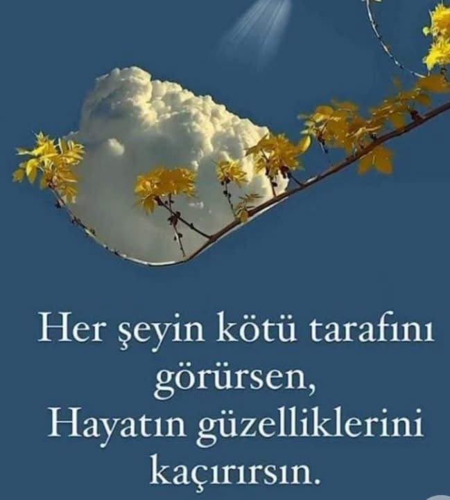 EyllEla769212's tweet photo. Hayırlı Geceler..☺️❤️☘️🌸😴💫 https://t.co/FiFzGi8Z71