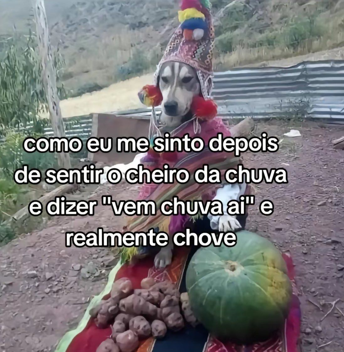 5gramasdememes's tweet photo. 😊 https://t.co/i5IlPoO9P5