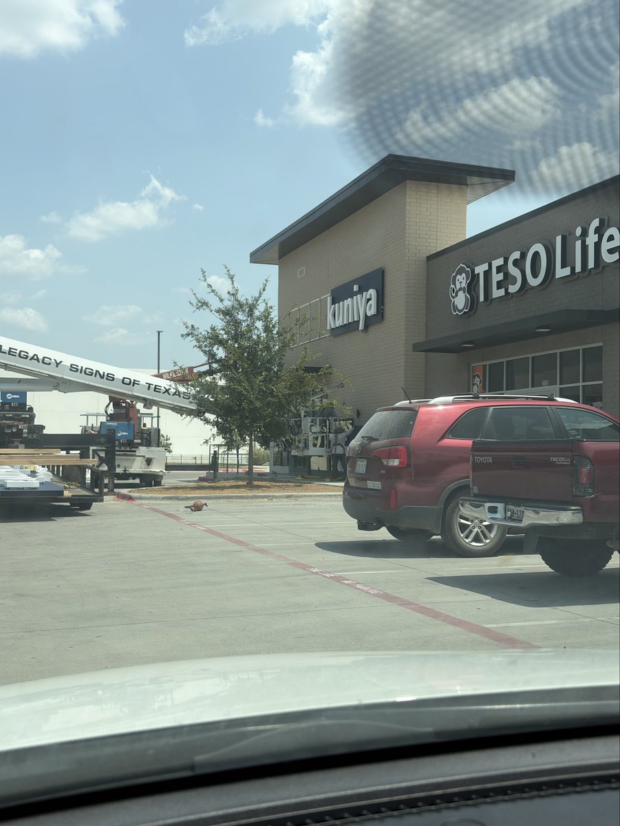 EMorrisTX's tweet photo. New signs going up at H Mart Plaza Haltom City. https://t.co/PdufdjNvPx