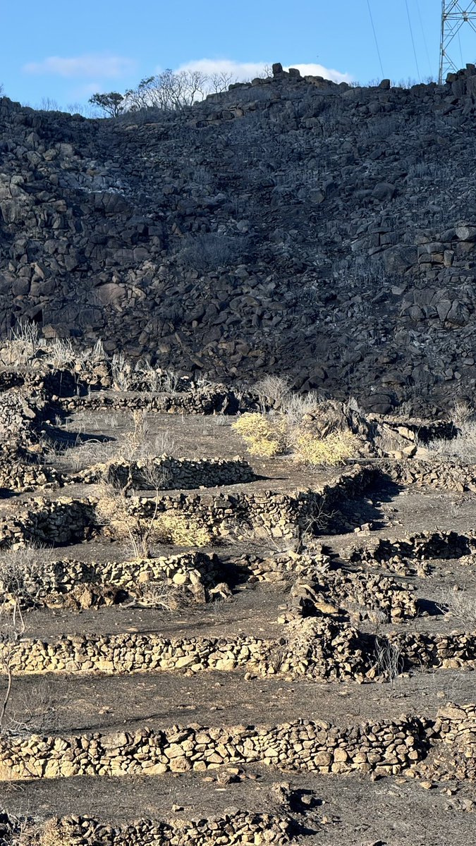 javiergmart's tweet photo. El paisaje después del desastre. #IFFermoselle https://t.co/t88u5YLheO