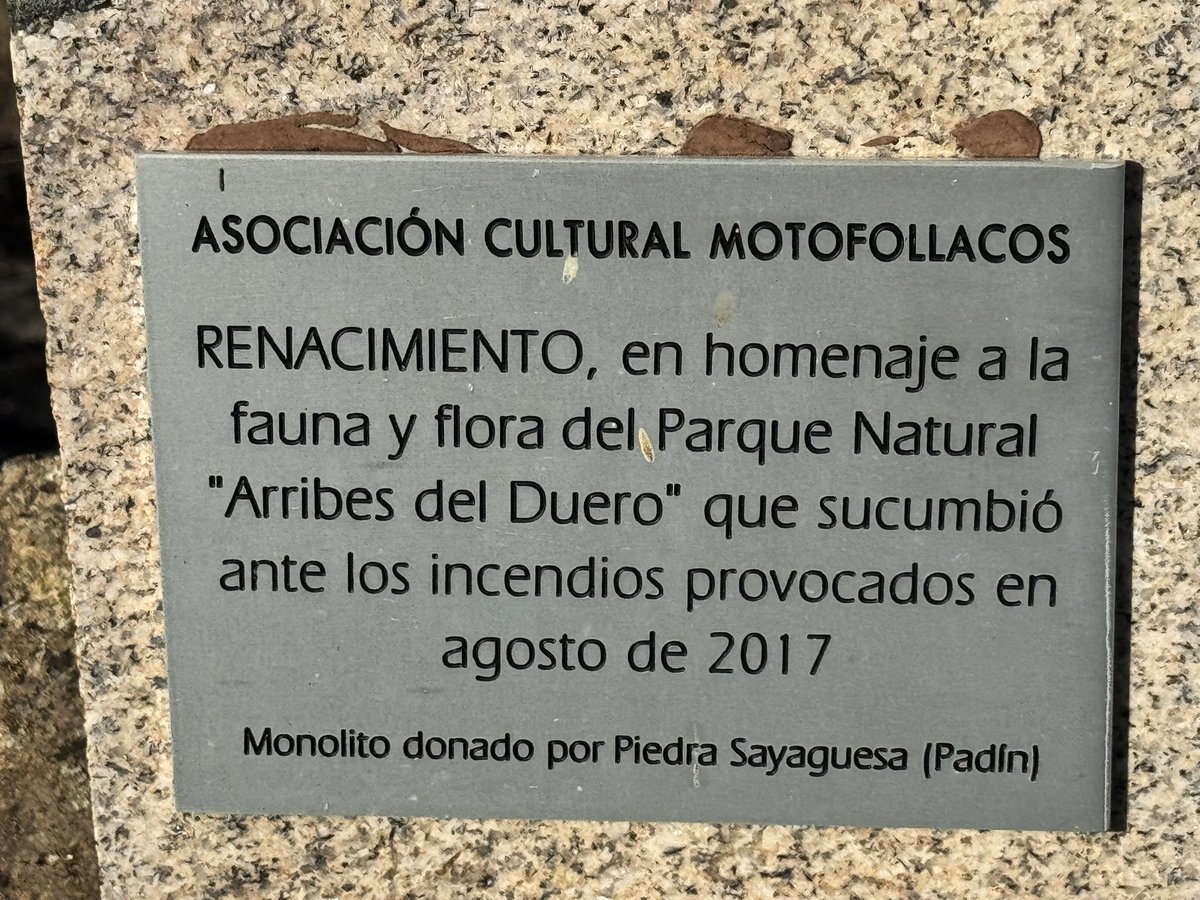 javiergmart's tweet photo. El paisaje después del desastre. #IFFermoselle https://t.co/t88u5YLheO