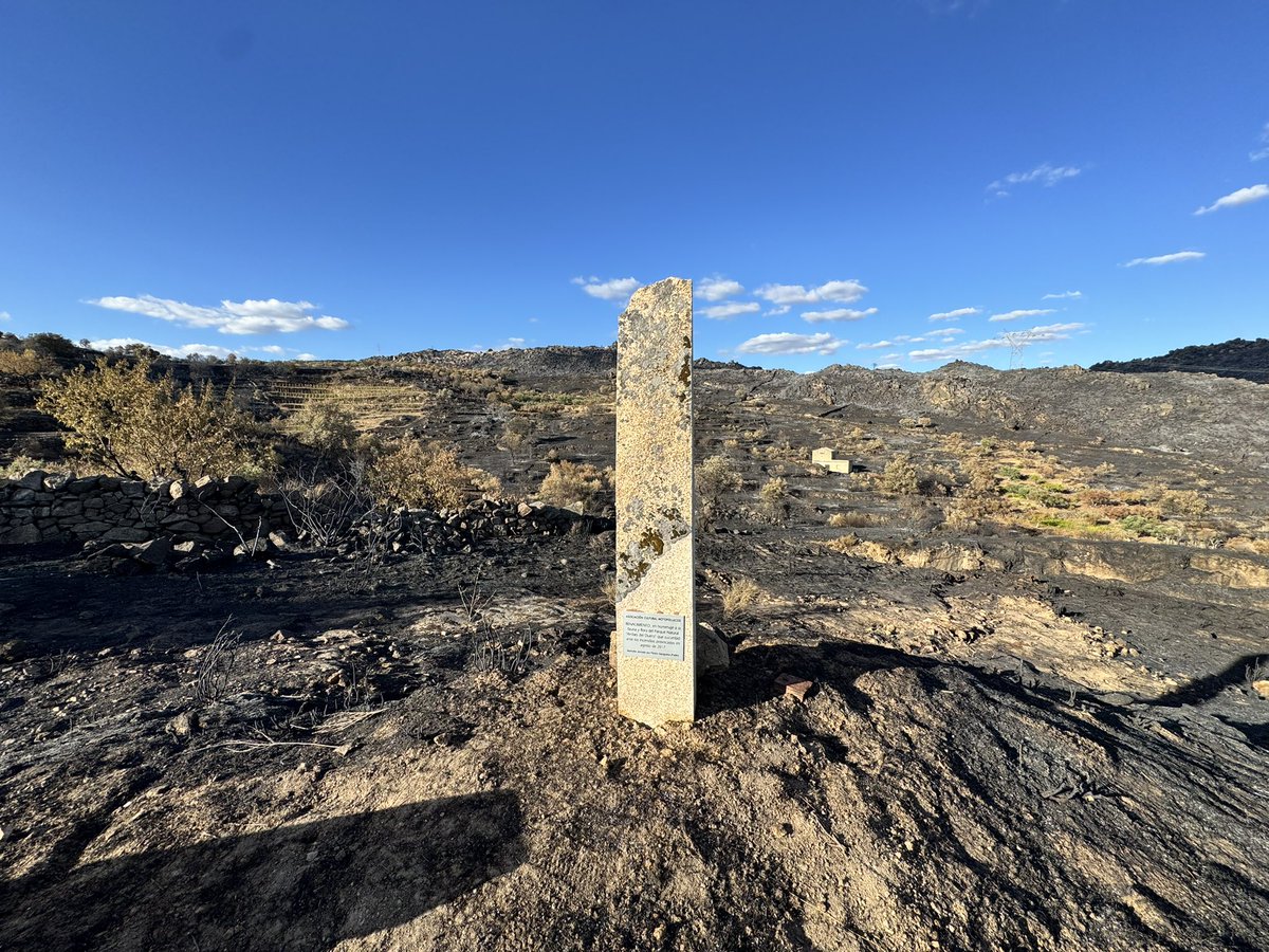 javiergmart's tweet photo. El paisaje después del desastre. #IFFermoselle https://t.co/t88u5YLheO