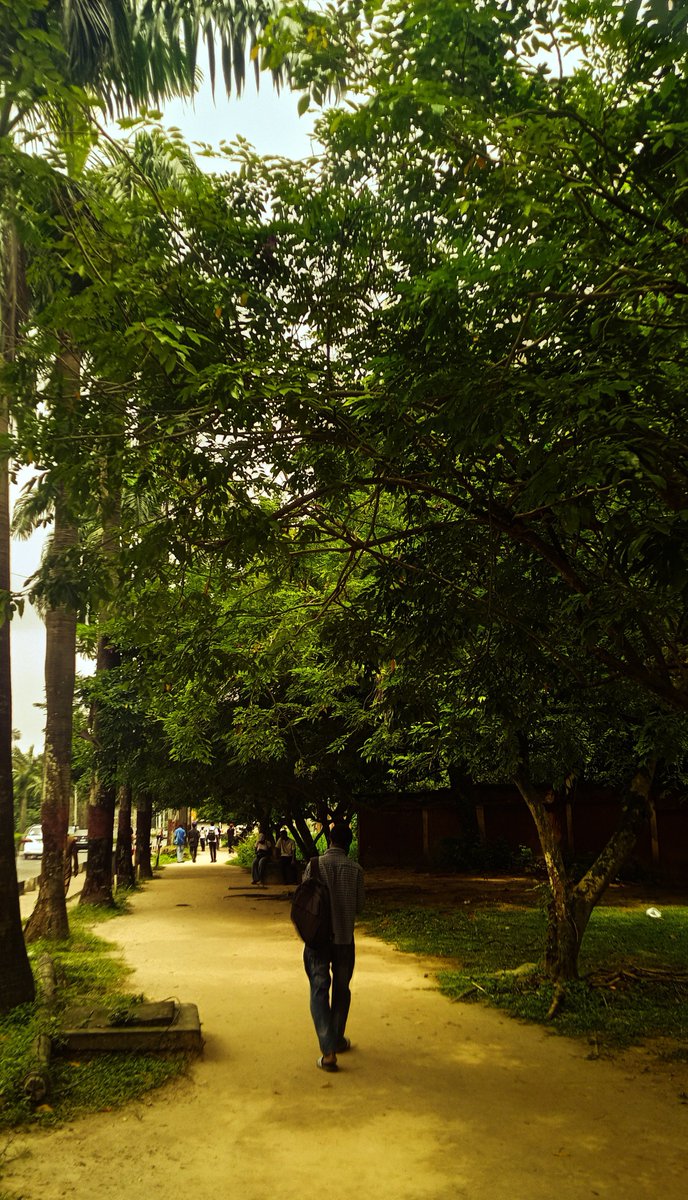 creativeseyi's tweet photo. Just me wandering around campus and taking pictures with my mobile phone 📸 https://t.co/6rMXhFymuy