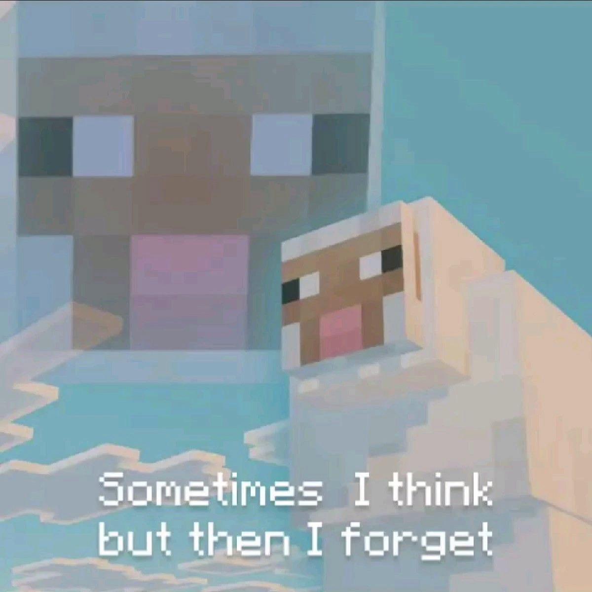 MinecraftMeme16's tweet photo. Me when https://t.co/o162rmtN5H