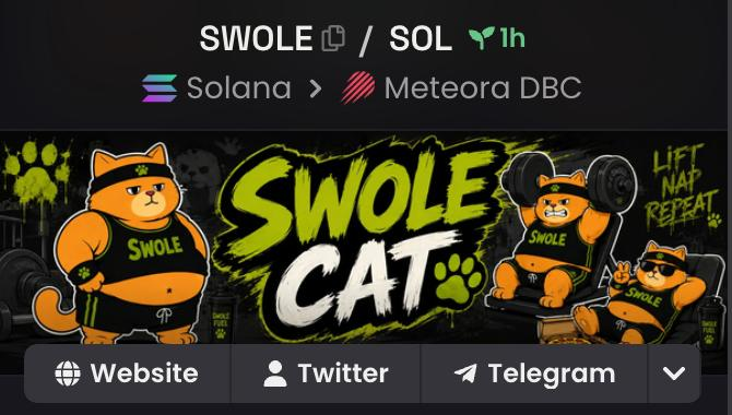 SwoleCatOnSol's tweet photo. MEOW CATS 😼

DEX is paid 💪

A lot of exciting stuff coming next 48 hours 🚀

Check our roadmap on our site and see what the CAT is up to! https://t.co/x35DW1XKtL