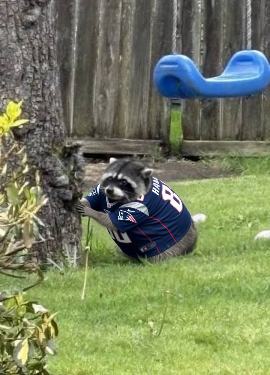 _NancyJugs's tweet photo. @Patriots @newbalance Seen Jimothy was a Maye fan https://t.co/7AJyNFvRWz