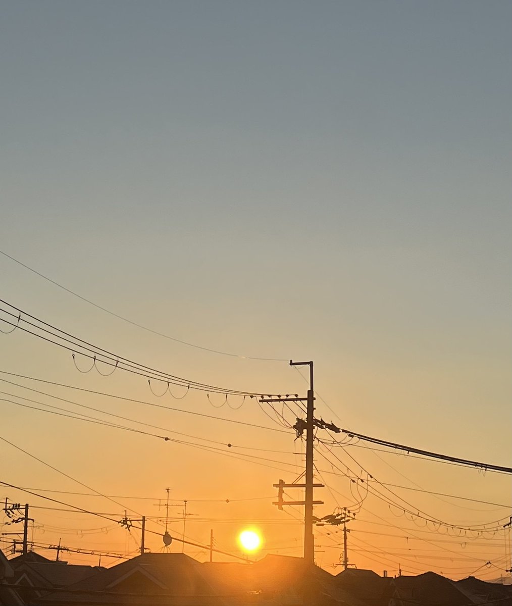 neko_desu's tweet photo. 朝が出てきた☀️ https://t.co/xGdCDUYVBI