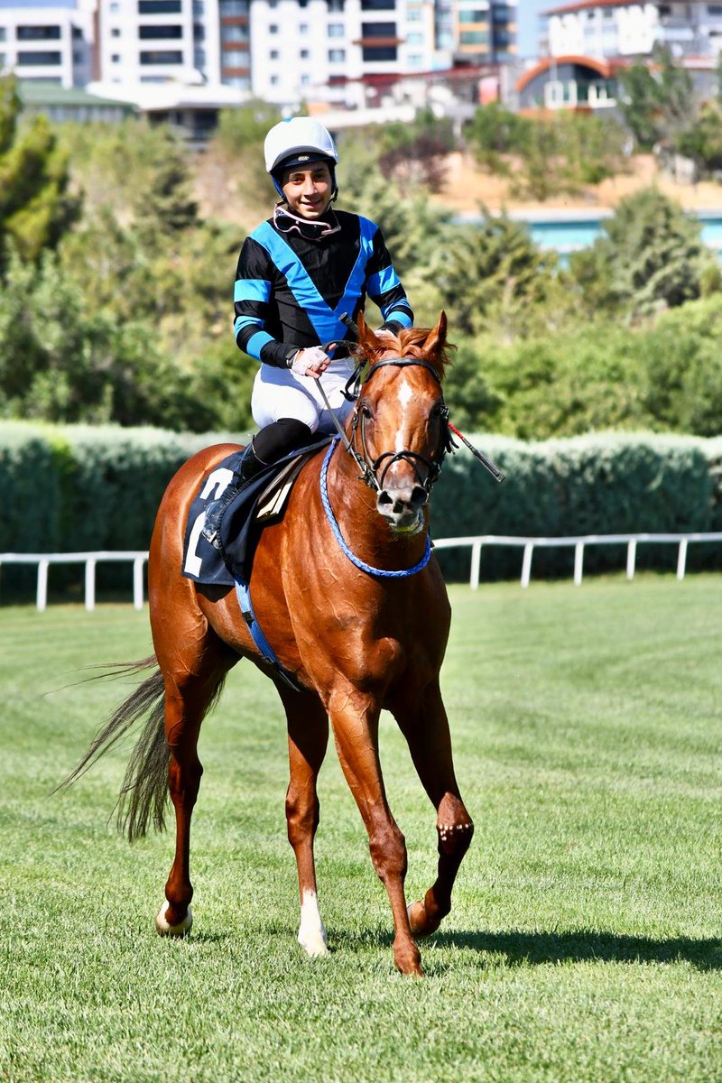 enesatlamazz's tweet photo. DRAGON BLUE 🐎🏅💙
@ucayyildirim23 👑 https://t.co/mIcbmV25rO