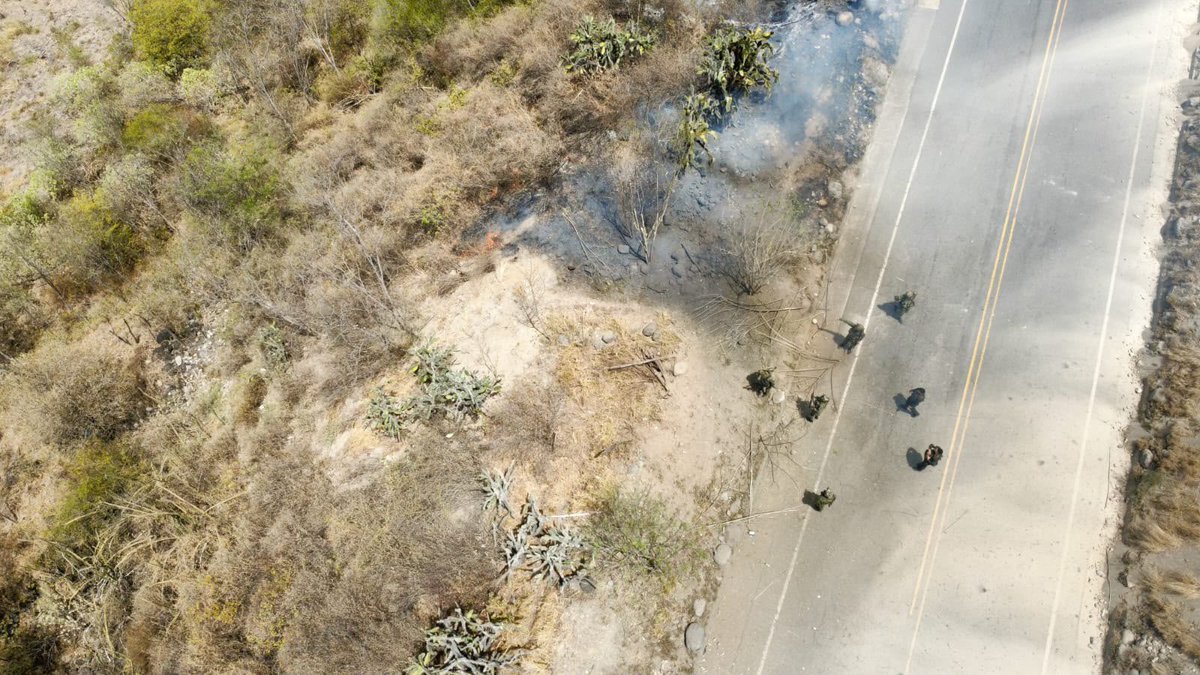 Ejercito_Div3's tweet photo. #ContundenciaOperacional | Soldados del Batallón de Infantería Liviana N. 9, de la #Brigada23, en conjunto con @FuerzaAereaCol, ubicaron y destruyeron de manera controlada un área minada en límites entre los departamentos de #Cauca y #Nariño, sobre la vía Panamericana, a la altura del municipio de Taminango.

En el lugar fueron hallados cuatro dispositivos explosivos improvisados y dos minas antipersonal, los cuales, al parecer, estaban acondicionados para ser activados mediante radiofrecuencia y presión, con el propósito de afectar a las tropas y a la población civil.

Hasta el sitio se desplazó el Equipo de Detección y Eliminación de Artefactos Explosivos (EOD) que realizó la destrucción controlada de los dispositivos, cumpliendo estrictamente con los protocolos de seguridad y evitando un riesgo para la población civil y el personal militar.

El flujo vehicular ya fue restablecido y el @COL_EJERCITO mantiene su presencia en la zona con el objetivo de mitigar las acciones terroristas de quienes delinquen en el suroccidente colombiano.

De acuerdo con las primeras informaciones, esta área minada habría sido instalada por integrantes del grupo armado organizado residual Estructura Franco Benavides, que delinque en esta zona del país.

#ProtegemosLaVida
