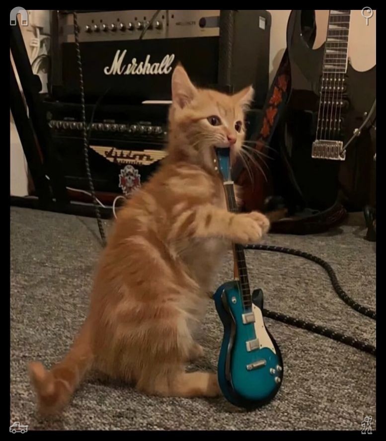 aldzm's tweet photo. 🐆Life’s treasures often lie within the little things. Every leap you make with courage broadens the depth of your journey. Even when outcomes fall short of expectations, they bestow invaluable insight that can only come from venturing beyond the familiar safety of your static https://t.co/T3SGvWjMzJ