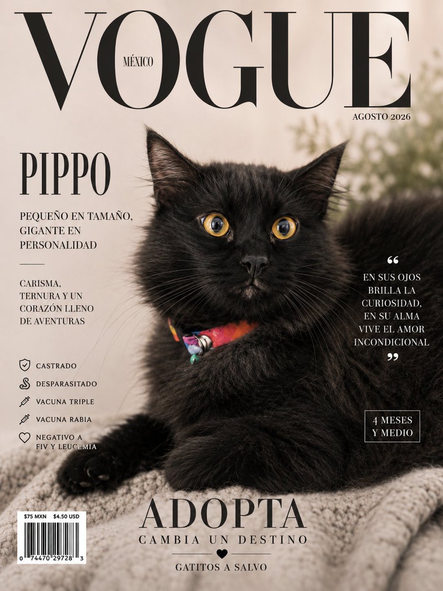 gatitosasalvo's tweet photo. 🚨 SE FILTRÓ la edición de agosto de Vogue México.
No trae actores. No trae influencers. Trae a quienes más merecen una portada.
Con ustedes: Pippo, Junior, Pinky y Cerebro.
¿Cuál se roba tu corazón? 👇 https://t.co/HwP4BX0B1b