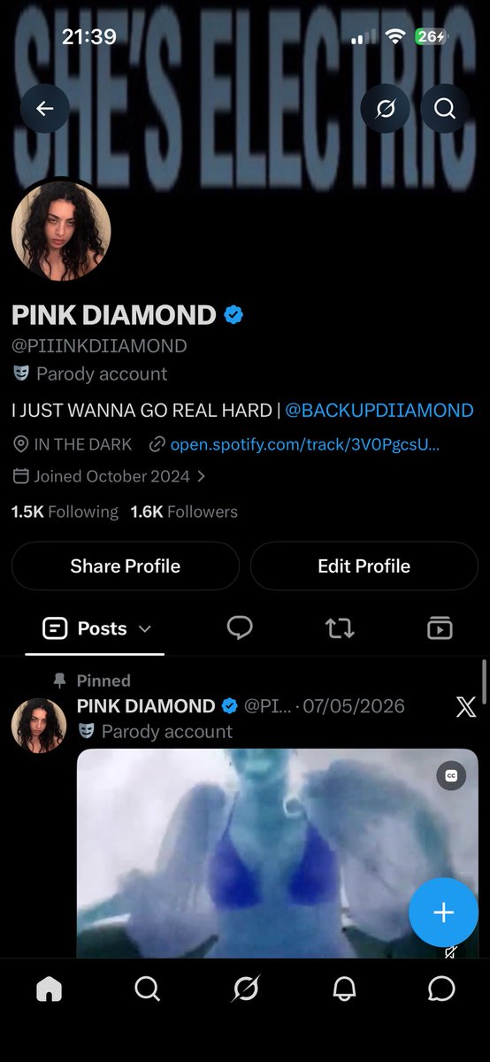 PIIINKDIIAMOND's tweet photo. #NewBio https://t.co/Ap92fSMl44