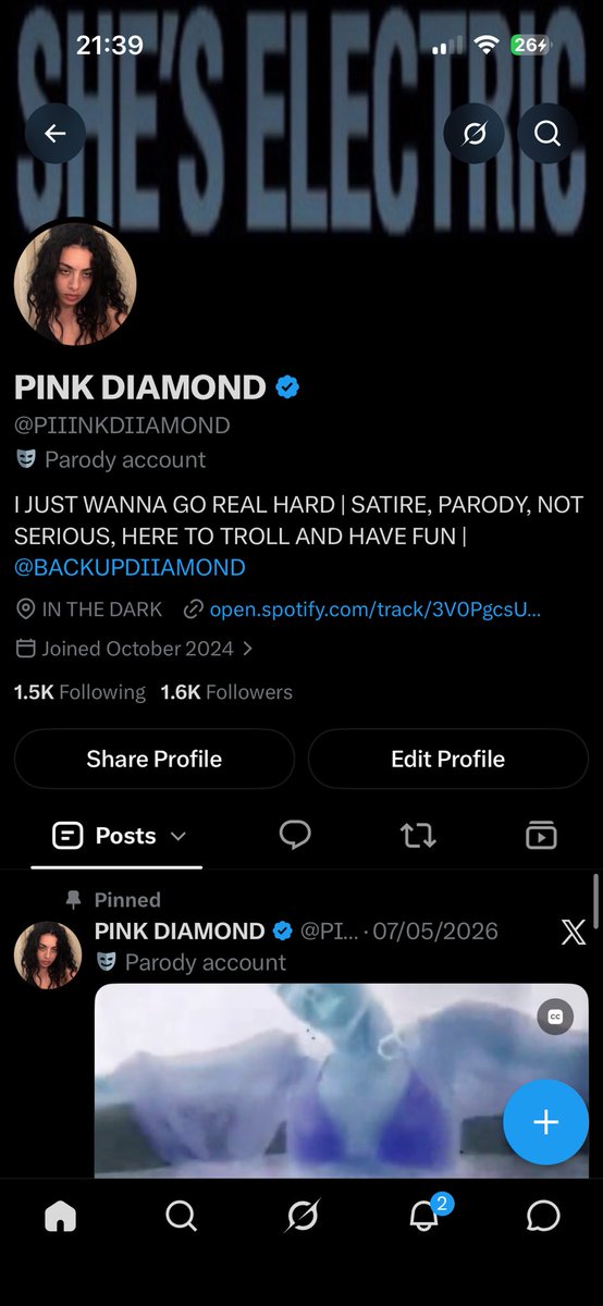 PIIINKDIIAMOND's tweet photo. #NewBio https://t.co/Ap92fSMl44