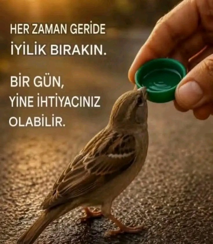 CigdemDemirbas_'s tweet photo. https://t.co/WWbpS0PUTR