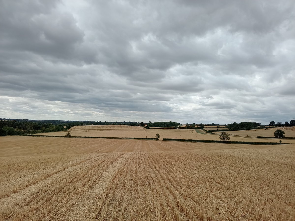 phil0073's tweet photo. On #RocklayHill, looking down at the Fields called (left to right)#RyeCroft , #LongJoles & #BreckHill . In
#FaxtonFields , #Northamptonshire.#PhilOnaBike #WednesdayWander #FridayFields #clouds https://t.co/jBtf6KVLYU