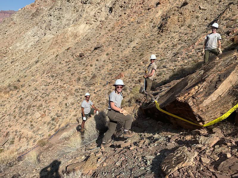 GrandCanyonNPS's tweet photo. Grand Canyon National Park is hiring winter seasonal employees for the Trails Program! Trade triple-digit heat for crisp mornings, snowy canyon views, and rewarding work on one of the nation's most iconic trail systems. 

Current openings include:
• WG-8 Maintenance Worker (Leader): https://t.co/Q8S8bUPvS0
• WG-7 Animal Packer (2 vacancies): https://t.co/TAeZoPsFaZ
• WG-6 Maintenance Worker (Trails) (7 vacancies): https://t.co/5geukeDbpq
• WG-4 Laborer (Trails–MVO) (7 vacancies): https://t.co/9s55fOvRMt

Appointments are expected to begin in early November and continue through late April.

View current openings and apply through USAJOBS before the application deadlines.

Questions? Contact Field Supervisor Gavin Youngstrum at 928-606-9012 or gavin_youngstrum@nps.gov.