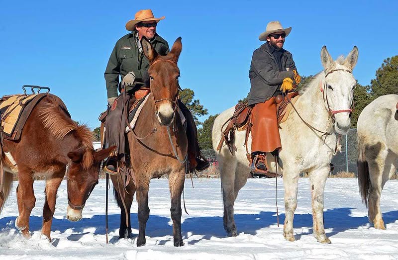 GrandCanyonNPS's tweet photo. Grand Canyon National Park is hiring winter seasonal employees for the Trails Program! Trade triple-digit heat for crisp mornings, snowy canyon views, and rewarding work on one of the nation's most iconic trail systems. 

Current openings include:
• WG-8 Maintenance Worker (Leader): https://t.co/Q8S8bUPvS0
• WG-7 Animal Packer (2 vacancies): https://t.co/TAeZoPsFaZ
• WG-6 Maintenance Worker (Trails) (7 vacancies): https://t.co/5geukeDbpq
• WG-4 Laborer (Trails–MVO) (7 vacancies): https://t.co/9s55fOvRMt

Appointments are expected to begin in early November and continue through late April.

View current openings and apply through USAJOBS before the application deadlines.

Questions? Contact Field Supervisor Gavin Youngstrum at 928-606-9012 or gavin_youngstrum@nps.gov.