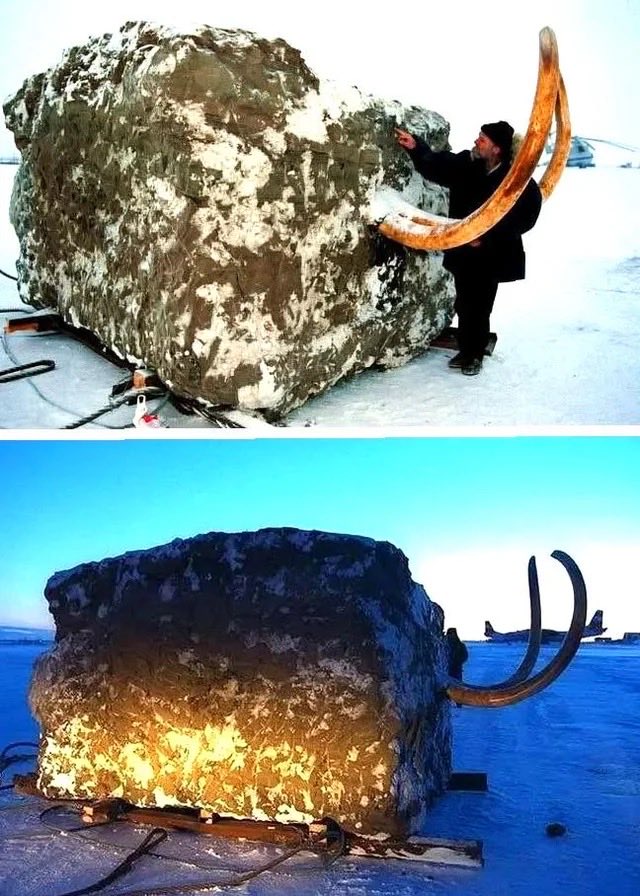 CyberPunkCortes's tweet photo. “Hey buddy, what do you have in that block of permafrost?”

“Uh, nothin.” https://t.co/9t54b3mPMV