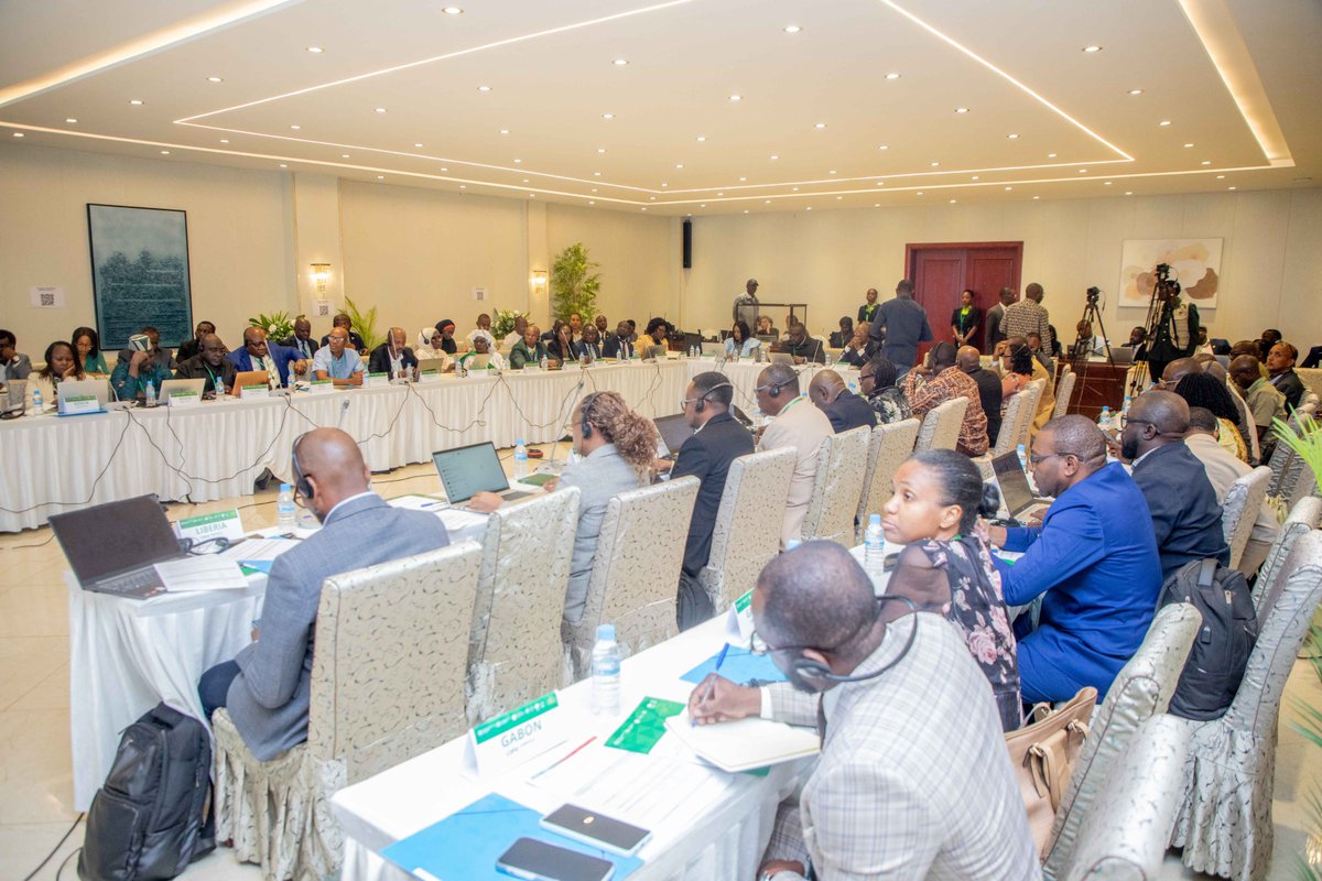 FAOAfriqueCent's tweet photo. Atelier régional Afrique de la #CIPV
Le Gabon accueille les ONPV de plus de 40 pays africains et des partenaires internationaux pour renforcer la coopération phytosanitaire, au service de la sécurité alimentaire, de la biodiversité et du commerce agricole
@ippcnews 
@agasa_gabon https://t.co/BWKuDDTqOn