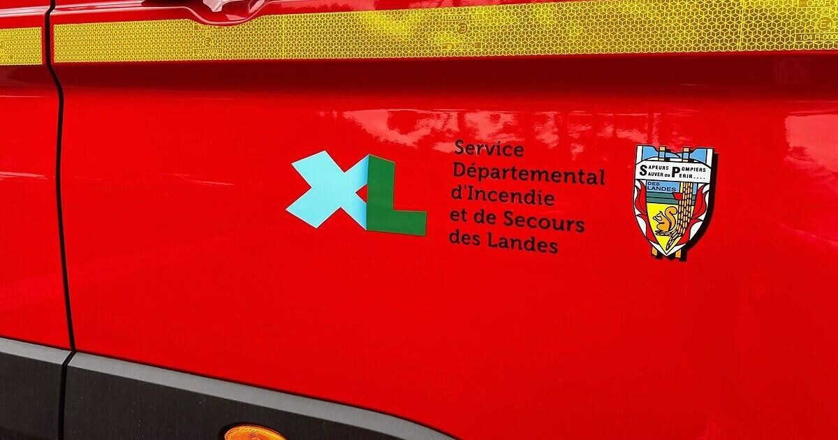 icigascogne's tweet photo. Landes : incendie en cours à Sainte-Eulalie-en-Born, situation "défavorable", des moyens aériens engagés
➡️ https://t.co/dYAbWsPXHe https://t.co/2vJR5tGtxi
