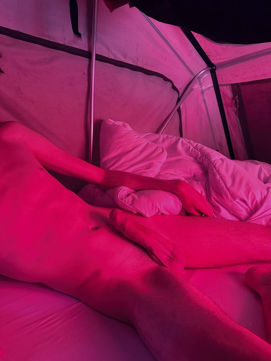 matt_twink_boy's tweet photo. J'ai chaud sous la tente, qui me rejoint ? 🥵⛺ https://t.co/EFyIobikak