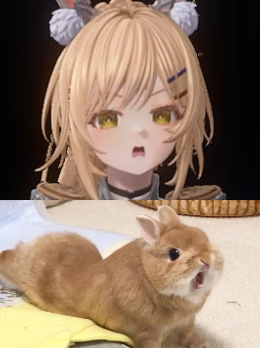 LumiPlaytime's tweet photo. Gratia is literally this angry little bunny.

#SilverPalace #DichotomyBetaTest #DetectiveWanted #Gratia https://t.co/uKzAdD0jo9