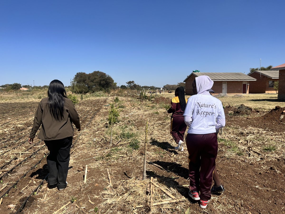 hut_green's tweet photo. From tree identification to nutrition research. Maranatha High School’s Environmental Club is learning how indigenous trees can support biodiversity, healthy diets and sustainable food forests. 🌱
#Forwardwegrow #UrbanFutures #Sustainability https://t.co/YaGZf6EvRV