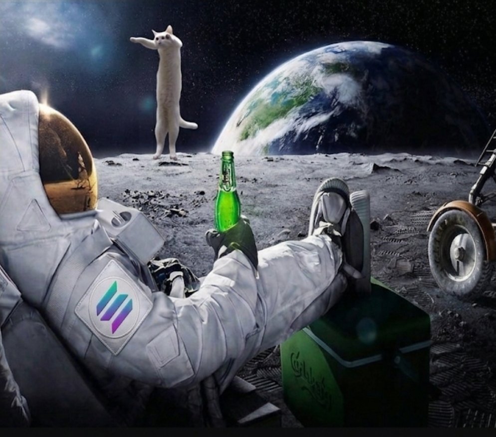 SupreemeSol's tweet photo. @AyyBeatle @Pumpfun Higher for the longest cat on solana $SHIRO https://t.co/BKxNeXzsow