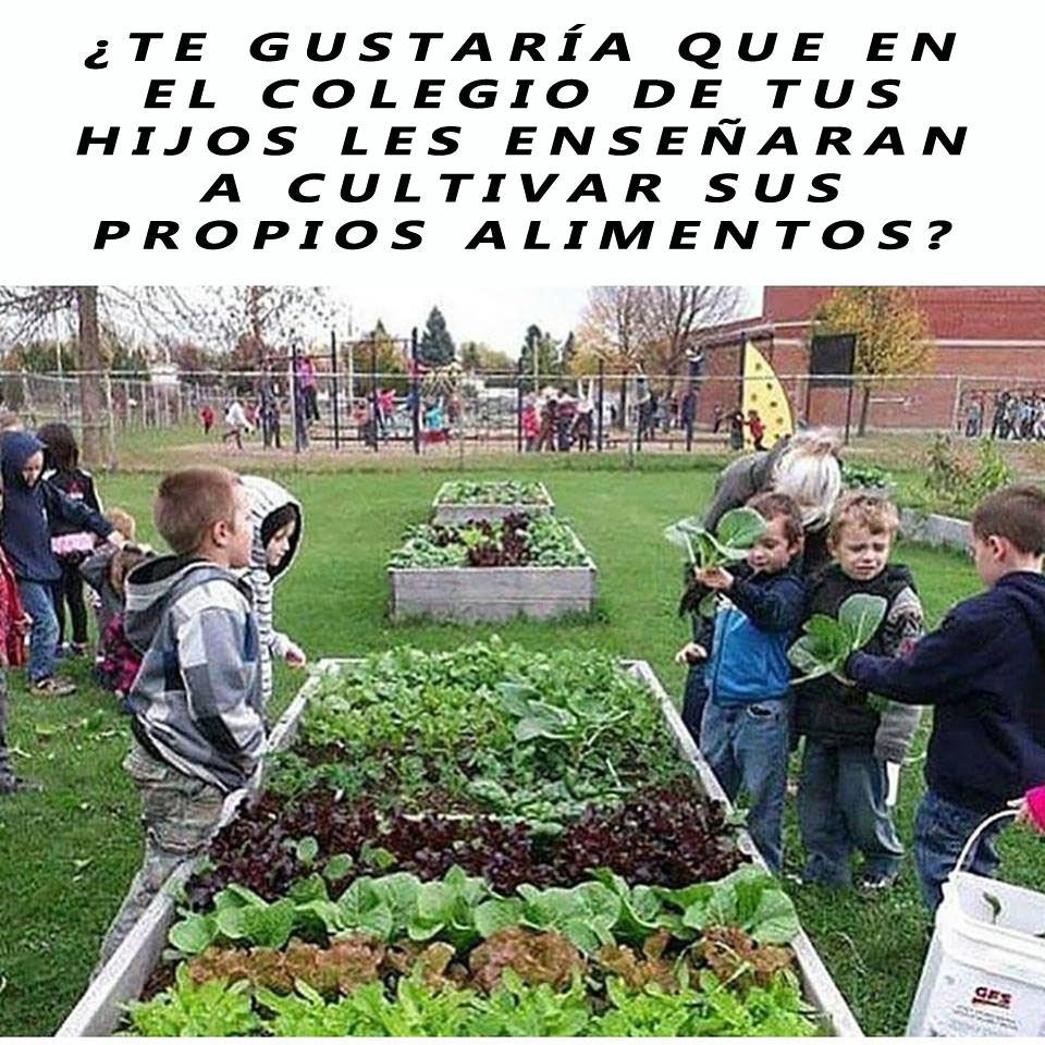 EcoInventos tweet picture