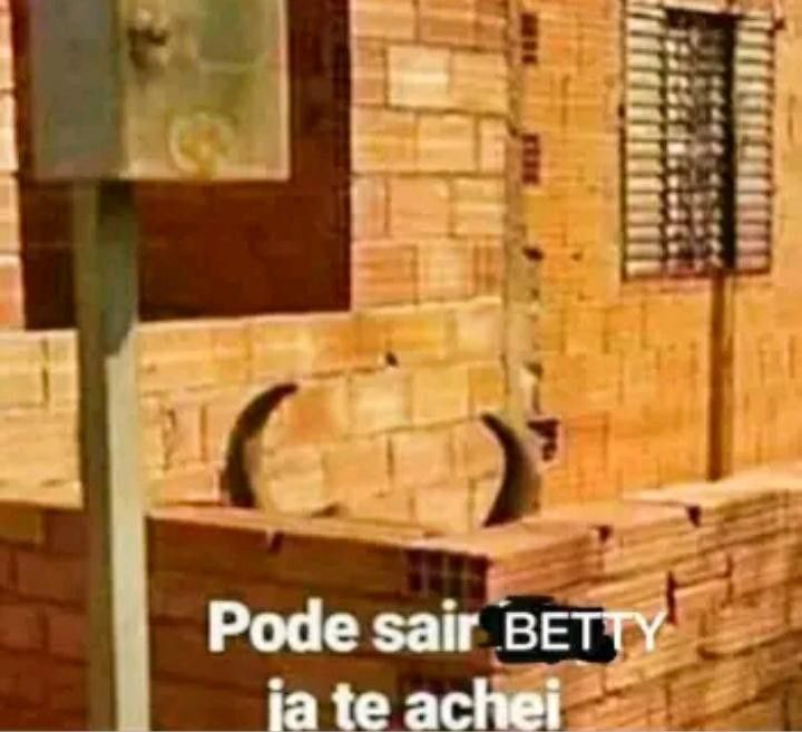 letras's tweet photo. no jardim você confiaria em mim
se eu te dissesse que foi 
apenas um lance de verão?
tenho apenas dezessete anos, não sei de nada
mas eu sei que sinto sua falta https://t.co/4JyBk44YA7