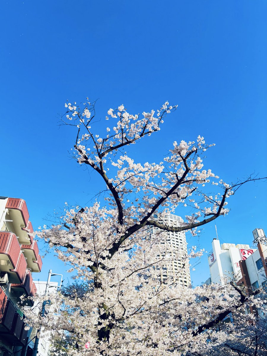 aejvl's tweet photo. https://t.co/F5TISW1TjT