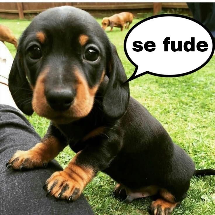 ilifaska's tweet photo. @mal1gnantt o povo se incomoda até com a quantidade de fts que postam pqp https://t.co/JN5Uddz11d