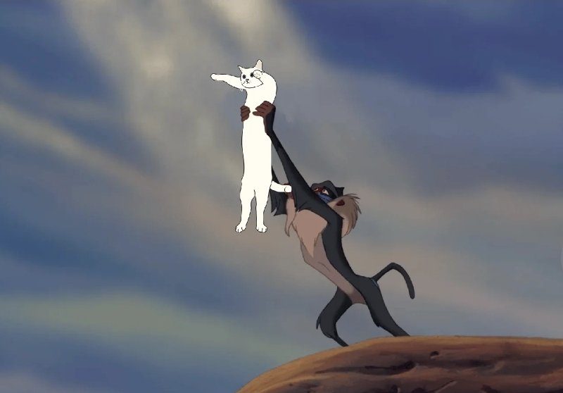 SupreemeSol's tweet photo. @poe_real69 It's time to go long on memecoins again with the longest cat on the internet and solana

$SHIRO Longcat is looooooooooong

CLEjjvLaGoQjGxu1N3iVvjaCxDVtEZv4YJ3pSoAYpump https://t.co/uqoXWtCoTU