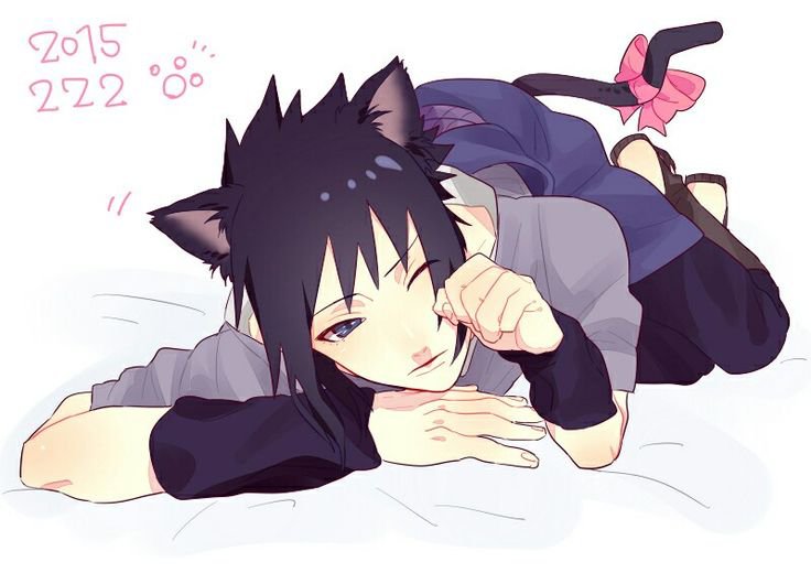 chidorissnr's tweet photo. kitty cat ♡ https://t.co/rCmv6reYb2