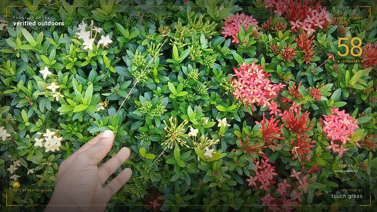 DaisyM94191's tweet photo. fifty days certified. i did not come this far to stop.

Day 58 · proof of grass 🌿

$TOUCHGRASS #TouchGrass #ProofOfGrass
@XTouchGrass
Join me:
https://t.co/SU2gj219Ki https://t.co/jC7KT5LtI5