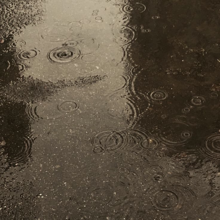 elect_ricite's tweet photo. — Another miserable evening in a miserable life. For some reason, I don’t feel like going straight home after work today, so I stopped by and grabbed some coffee. Two, actually. One for you. https://t.co/FuLehTKB1w