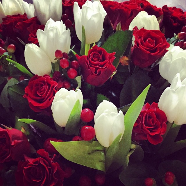 hestiamiller212's tweet photo. Flowers fade, but the right person makes your heart bloom forever. 🌷❤️ Do you believe love grows from friendship first?
#LoveAndRespect #MeaningfulConnection #FreshBlooms #HeartToHeart #RealLove #Romance #BeautifulLife #StayKind #GoodPeople #RelationshipGoals https://t.co/DUXZTWsYk4