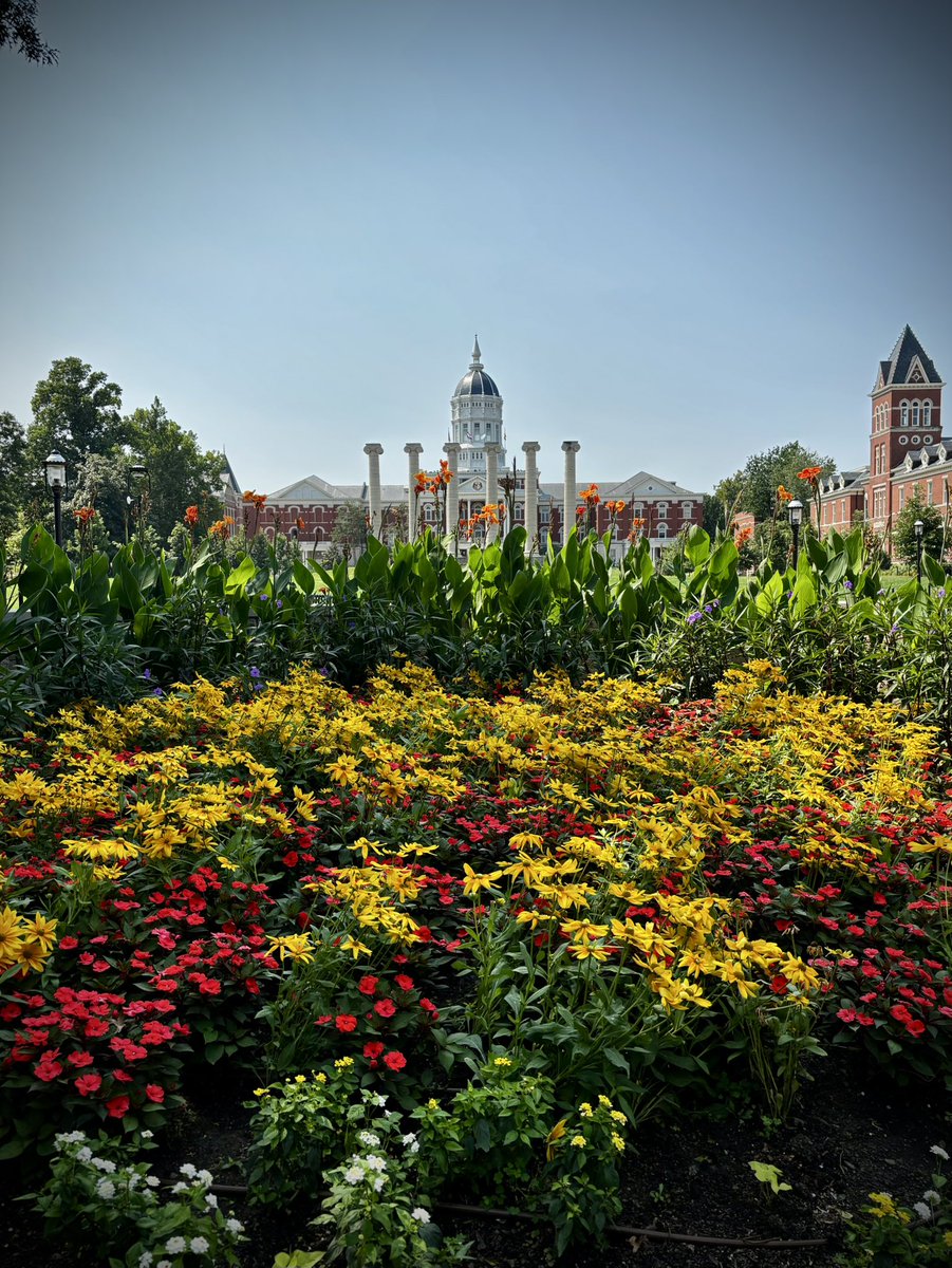 Mizzou's tweet photo. Summer strolls at #Mizzou ☀️🌹🌸 https://t.co/HFLxaV4du9