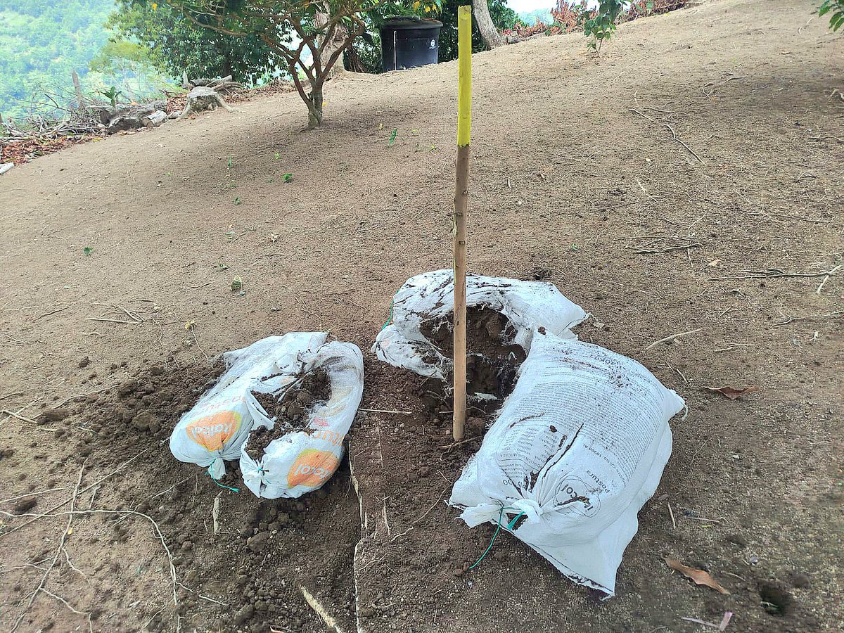 ReservaBR4's tweet photo. BRDEH | Soldados del Batallón de Ingenieros de Desminado Humanitario N.° 3 ubicaron y destruyeron una mina antipersonal en El Cuarenta, El Carmen de Chucurí, Santander, protegiendo a las familias campesinas. https://t.co/rBFJiblE5Q