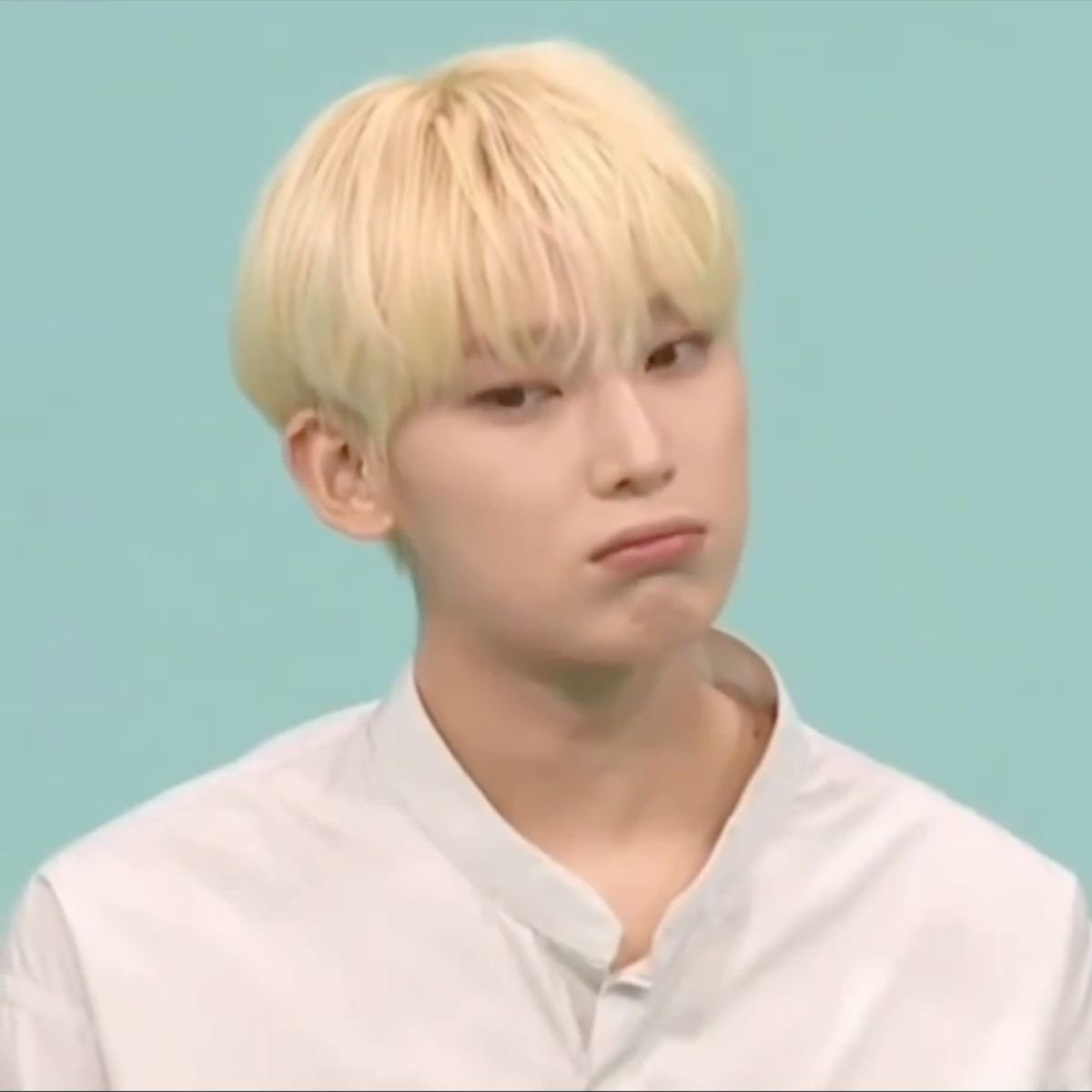 ru_emfkddl's tweet photo. 부리 튀어나온 선우 모음 https://t.co/mvPKnKpi3c