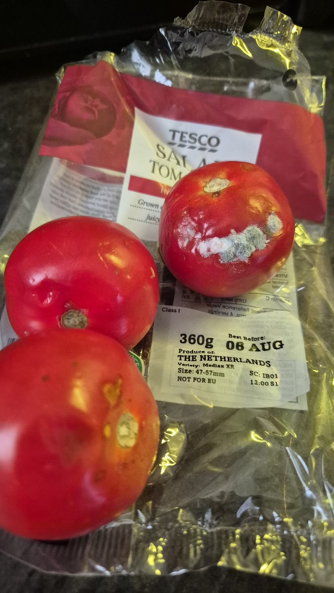 lissataylor1's tweet photo. Sorry Tescos 2 weeks in a row my tomatoes arrive like this?  Not pleased.
@Tesco https://t.co/9GnVezK8cc