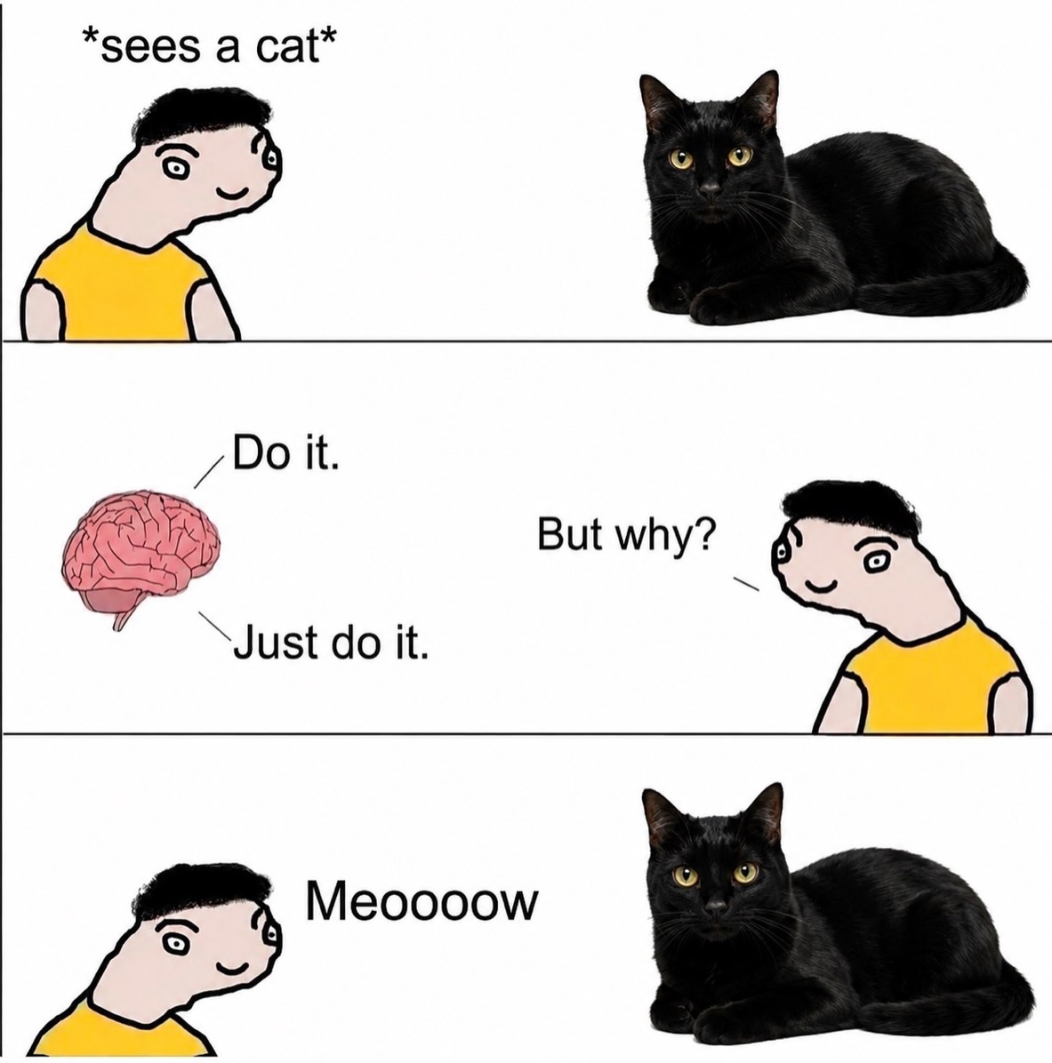 catsareblessing's tweet photo. https://t.co/nE7zO7ErcO