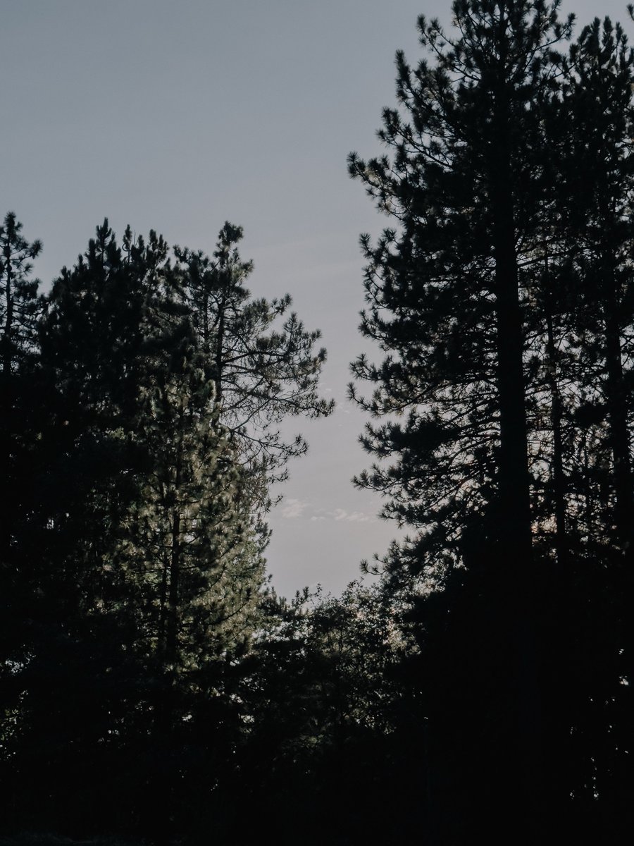 BenyComeBack's tweet photo. From sunrise to sunset. Don’t be afraid to get lost in the clouds once in a while. Stop taking everything so seriously. https://t.co/5MRxfCM9fX