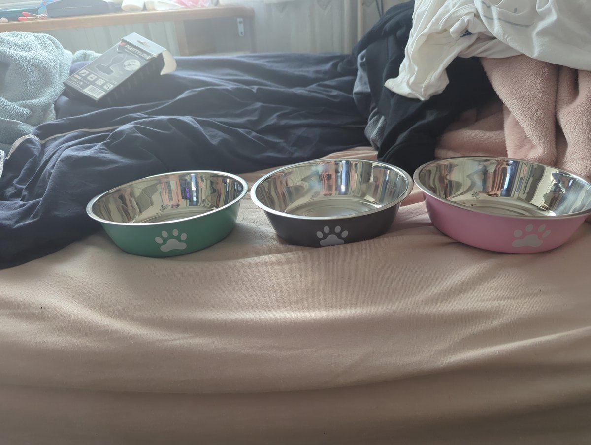 AliceSub2's tweet photo. ARRGGHH i love that so much !! 

#puppy #pup #paws https://t.co/uUdGKuYTrY