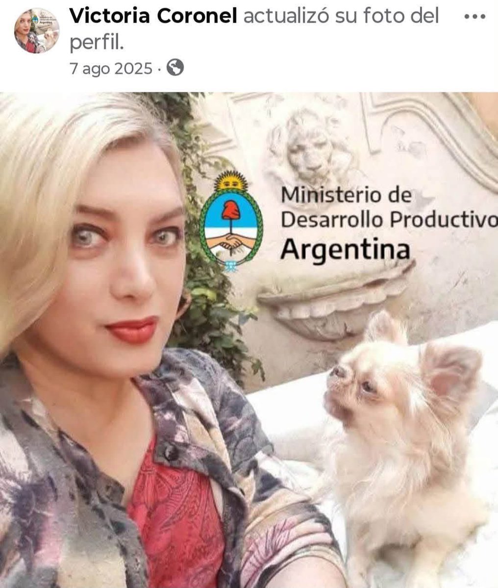 mavica7's tweet photo. Esta es la amiga de la diputada Karen Reichardt quien redactó el proyecto de regulación de criaderos.  Ese por el cual el otro día fue al programa “LAM”. Según su foto de perfil, es funcionaria del Min. de Desarrollo Productivo, tiene criadero/comercializa chihuahuas y aboga por las carreras de galgos, ya prohibidas. Ni uno sano, ni uno honesto.