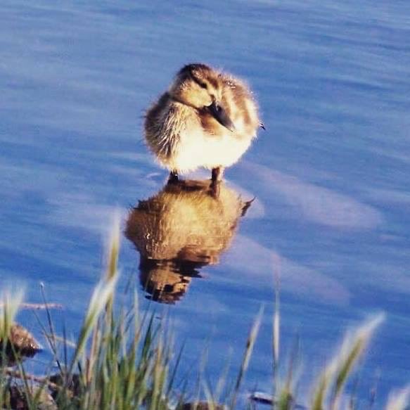 MichelleStar222's tweet photo. @Grampa1950 https://t.co/wJhmYcxs0n