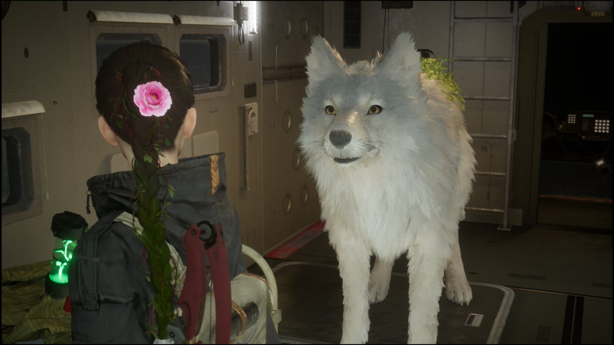 CuminEkimemo's tweet photo. もっふもふやぁ！

この手のジャンルは孤独な探索がデフォみたいなもんだけど、常時相棒がいるってのはひとつの特色かもしれない https://t.co/21dsvjkdTr