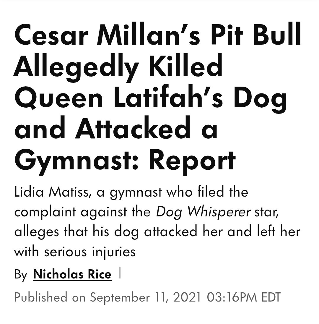cremieuxrecueil's tweet photo. "A pit bull raised by a White suburban family will be fine"

No. They're violent as newborns.

In fact, famous dog trainer Cesar Milan couldn't train a pit bull to not randomly lash out.

His pit bull killed Queen Latifah's dog and ruined a professional gymnast's career. https://t.co/RVEAjHCZ55